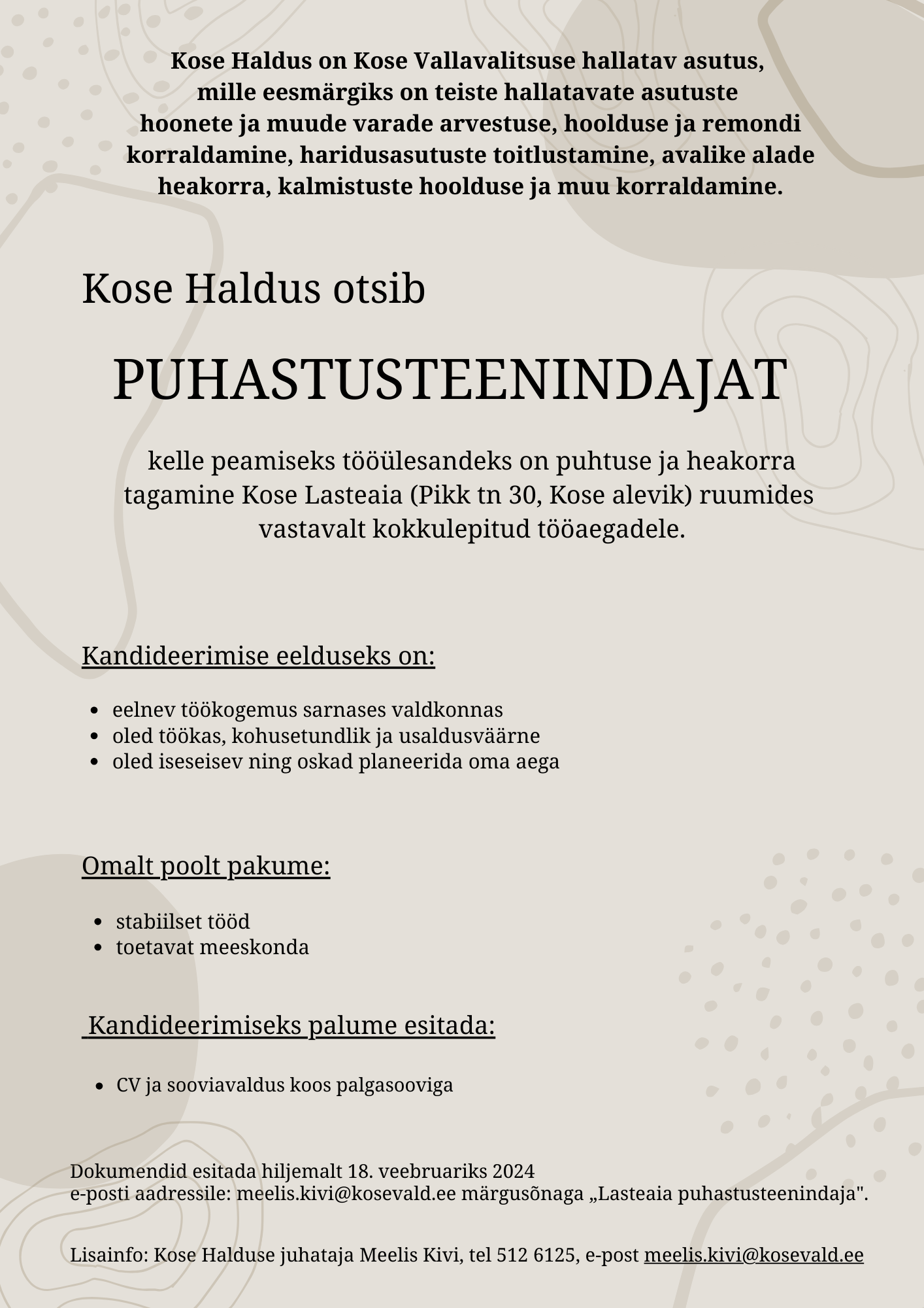 Puhastusteenindaja (lasteaed)