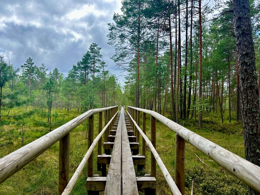 Paunküla1.jpg