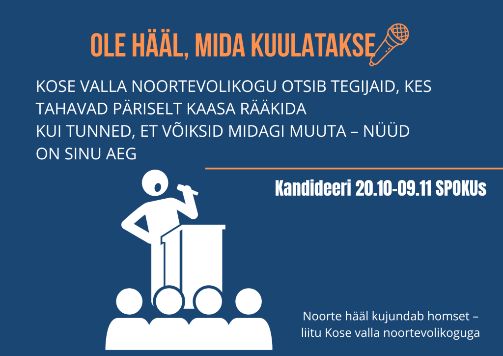 noorte_hääl.png