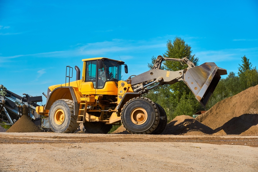 distelapparath-gravel-plant-4729170_1920.jpg